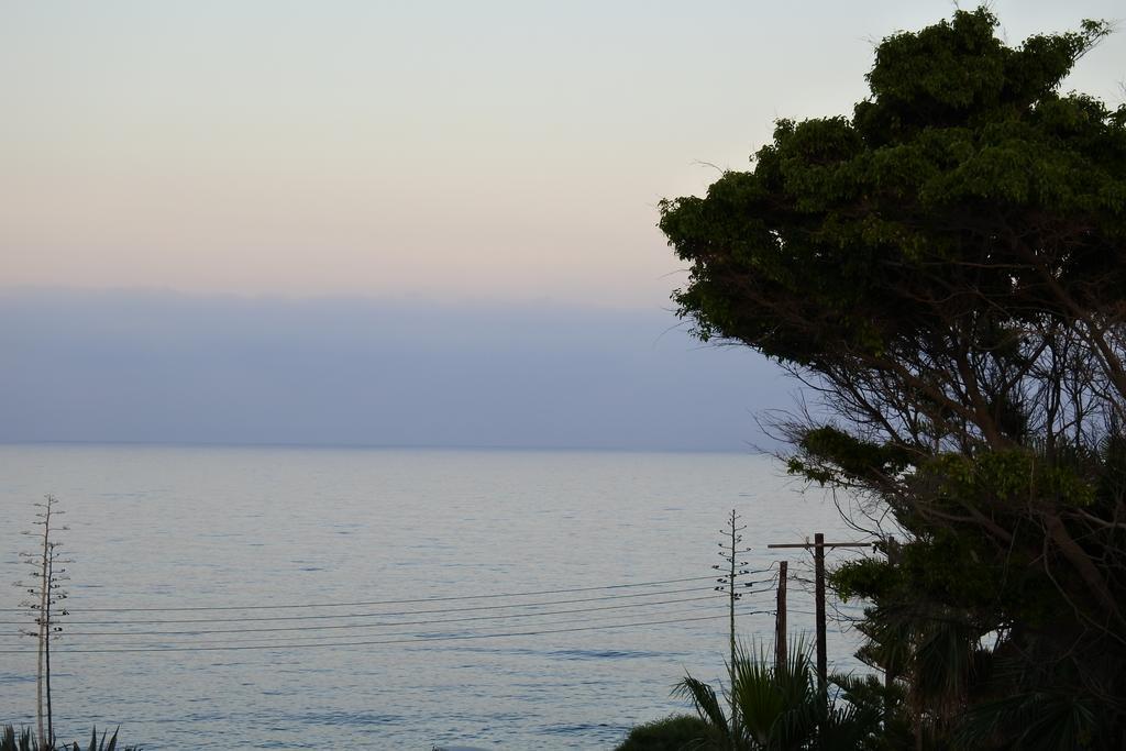 Kissonerga Beach Apartment Paphos Eksteriør bilde