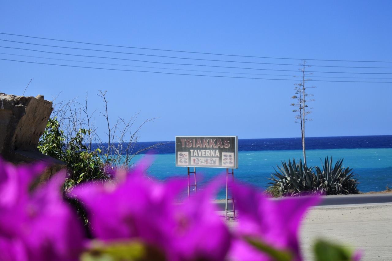 Kissonerga Beach Apartment Paphos Eksteriør bilde